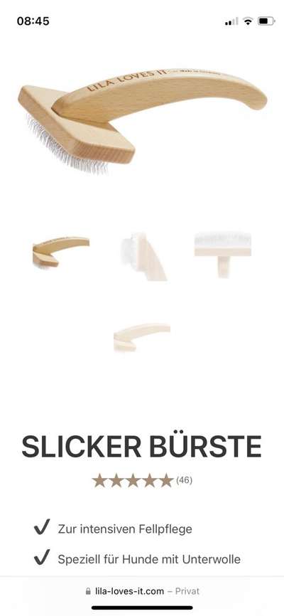 Alles rund um den Schäferhund, diskutieren erwünscht.-Beitrag-Bild