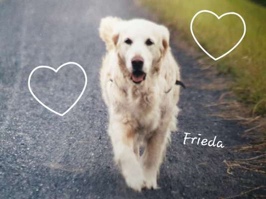 Fotochallenge Nr. 56 - geliebte Senioren-Beitrag-Bild