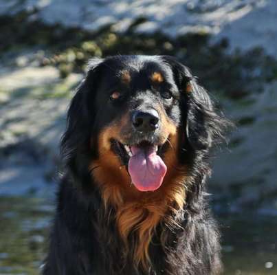 Fotochallange Nr. 57     PORTRÄT.   Beendet!!!!!!!!-Beitrag-Bild