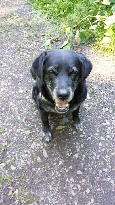 Fotochallenge Nr. 56 - geliebte Senioren-Beitrag-Bild