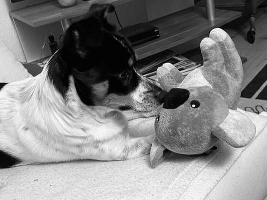 3. Farben/Fotochallenge: Schwarz/Weiß-Beitrag-Bild