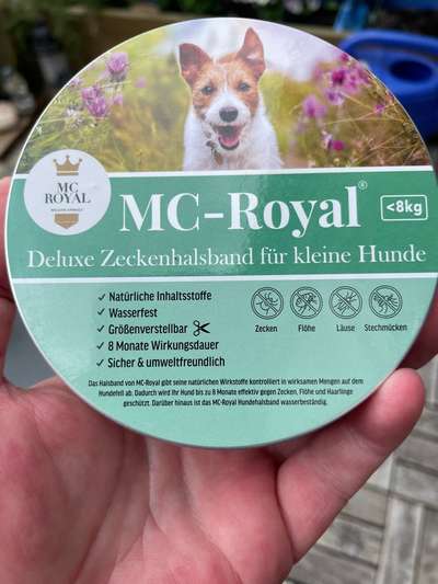 Natürlicher Zeckenschutz-Beitrag-Bild