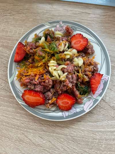 Zeigt her Eure Futternäpfe-Beitrag-Bild