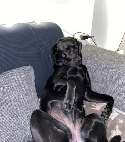 Die unbequemsten und lustigsten Schlafpositionen-Beitrag-Bild