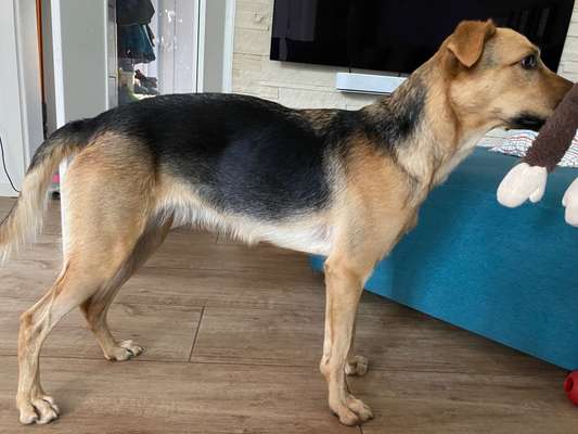 Der Gewichts-Thread-Beitrag-Bild