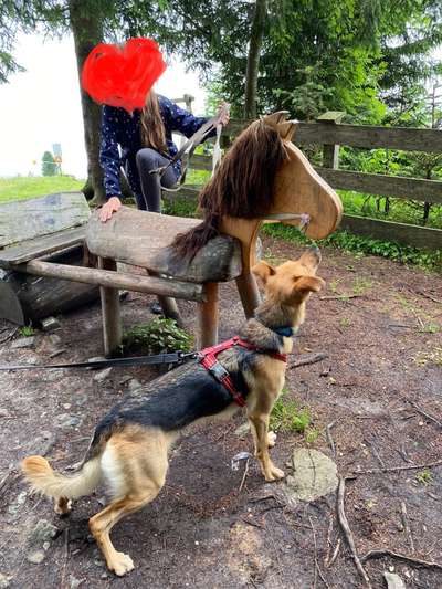 Der Gewichts-Thread-Beitrag-Bild