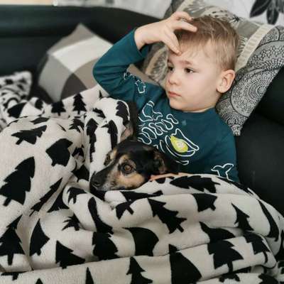 Hundmenschfotos-Beitrag-Bild