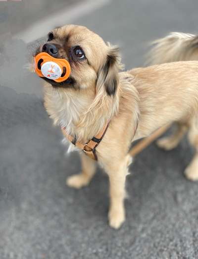 Fotochallenge Nr. 29 - Accessoires-Beitrag-Bild