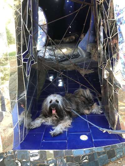 Dogorama-Monats-Challenge-Mai "Wasser"-Beitrag-Bild