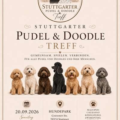 Hundetreffen-Stuttgarter Pudel & Doodle Treff-Bild