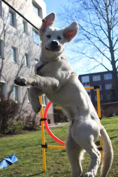 Fotochallenge Nr. 52 „Spring!“-Beitrag-Bild