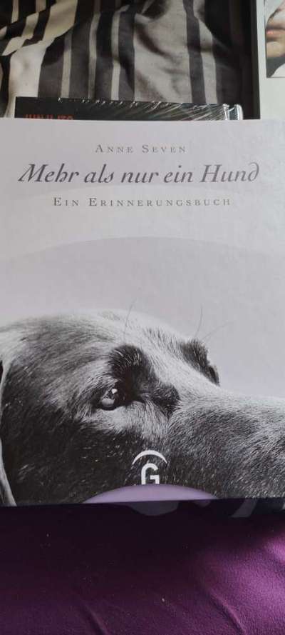 Buchempfehlung zur letzten Reise-Beitrag-Bild