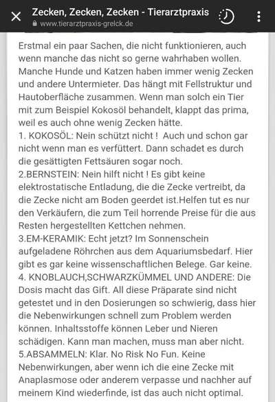 Zecken Saison-Beitrag-Bild