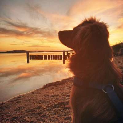 Farben Fotochallenge Sonnenlicht-Beitrag-Bild