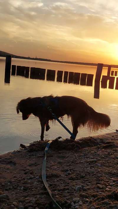 Wie oft Baden-Beitrag-Bild