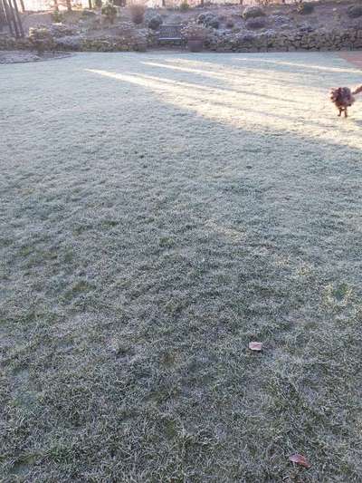 Dogorama Photo Challenge - Fail/Outtakes-Beitrag-Bild