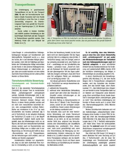 Geschlossene Hundebox immer Tierschutzwiedrig?-Beitrag-Bild