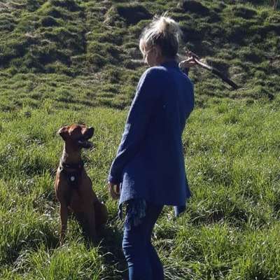 Hundetreffen-Spiel und Auspowern-Profilbild