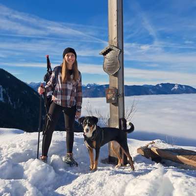 Hundetreffen-Neue Hundefreundschaften 🥰