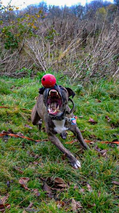 Her mit dem Grimassen-Beitrag-Bild