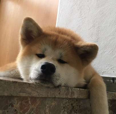 Fotochallange Nr. 57     PORTRÄT.   Beendet!!!!!!!!-Beitrag-Bild