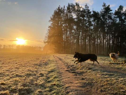 SonnenSTRAHLEN-Beitrag-Bild