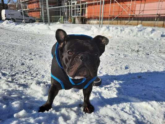Beschäftigungs Möglichkeiten?-Beitrag-Bild