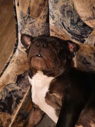 Die unbequemsten und lustigsten Schlafpositionen-Beitrag-Bild