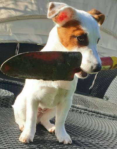 Fotochallenge 129-Beitrag-Bild