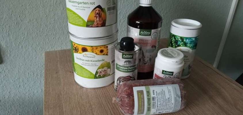 Barfen, wie macht ihr es?-Beitrag-Bild