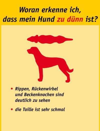 Conti Besitzer? :-)-Beitrag-Bild