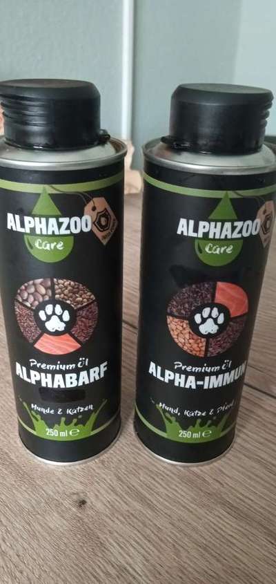 Französische Bulldoggen-Beitrag-Bild