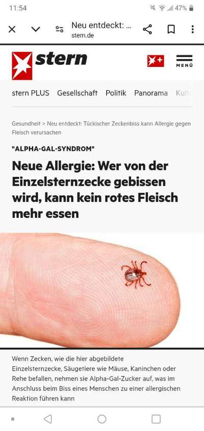 Wird zu selten entwurmt? Wurmbefall bei Hunden in Deutschland-Beitrag-Bild