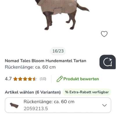 Hundepullover für große Hunde gesucht-Beitrag-Bild