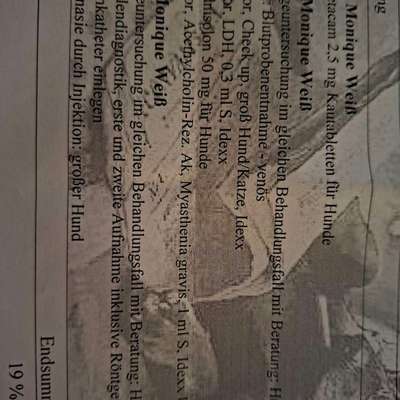 Myasthenia gravis-Beitrag-Bild