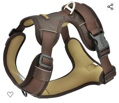 Französische Bulldoggen-Beitrag-Bild