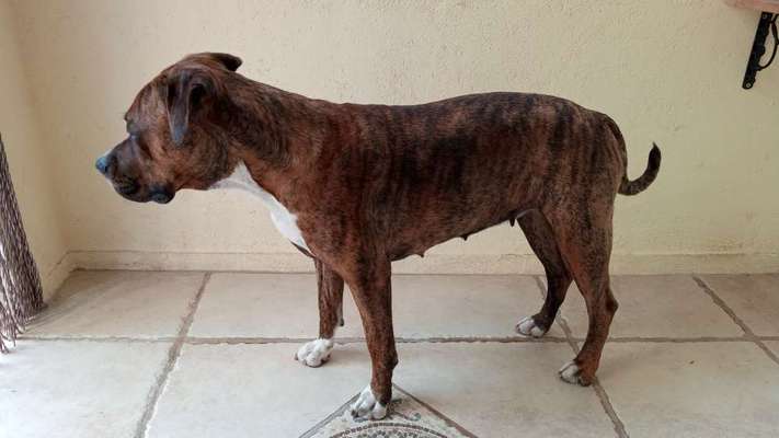 Ist das ein...?-Beitrag-Bild