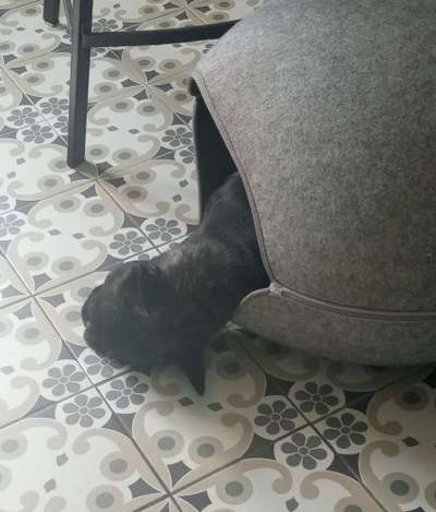 Schlaf verbessern/passendes Bett finden-Beitrag-Bild