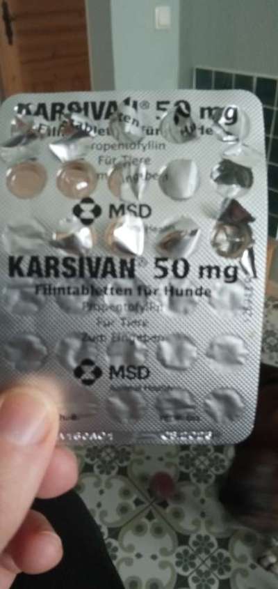 Chronische Niereninsuffizienz - wann geht es zu Ende?-Beitrag-Bild