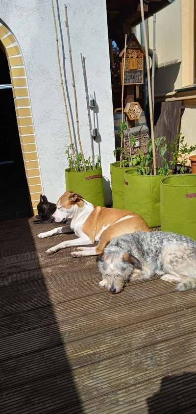 Handy-Foto-Challange Nr. 8-Beitrag-Bild