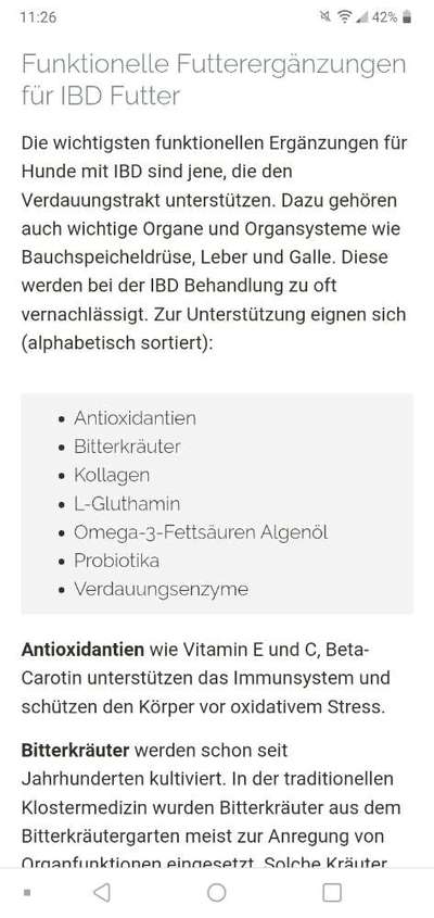 Darmsanierung beim Hund-Beitrag-Bild