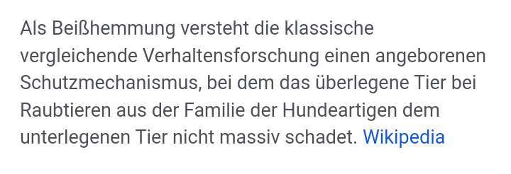 Freunde von 'Kampfhunden'-Beitrag-Bild