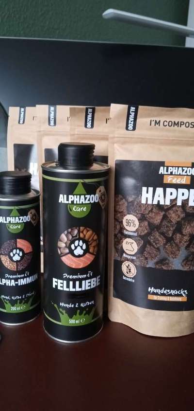 Französische Bulldoggen-Beitrag-Bild