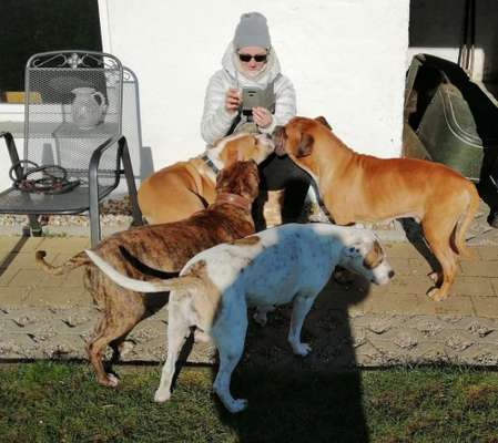 Diagnose: bösartiger Milztumor-Beitrag-Bild