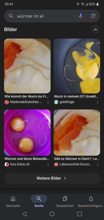 🦠 BARF: Salmonellen im Labortest gefunden!-Beitrag-Bild