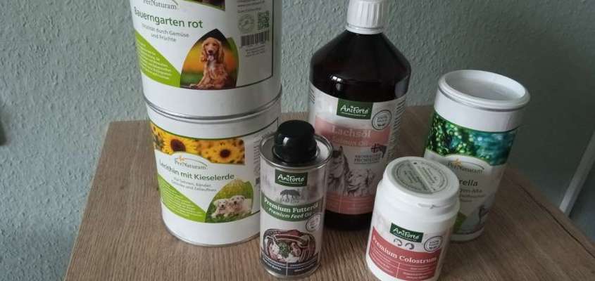 Barfen, wie macht ihr es?-Beitrag-Bild