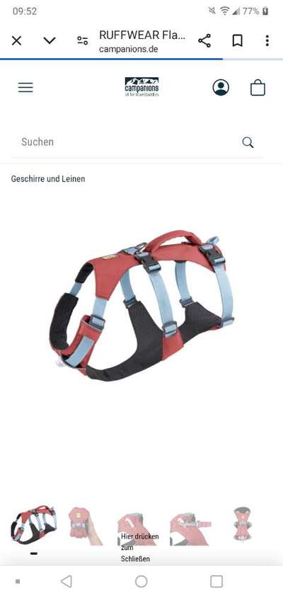 Antizuggeschirr-Beitrag-Bild