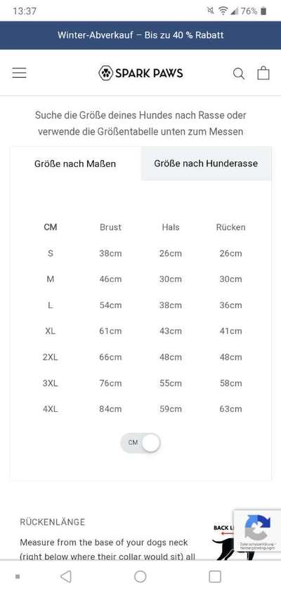 Französische Bulldoggen-Beitrag-Bild