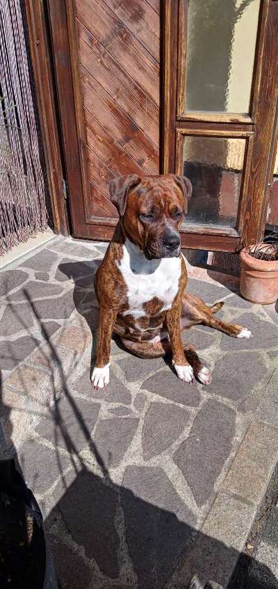 Wie groß waren eure welpen ?-Beitrag-Bild