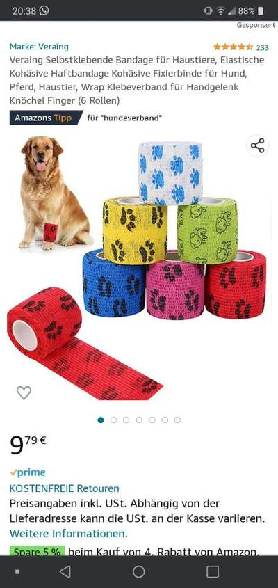 Französische Bulldoggen-Beitrag-Bild